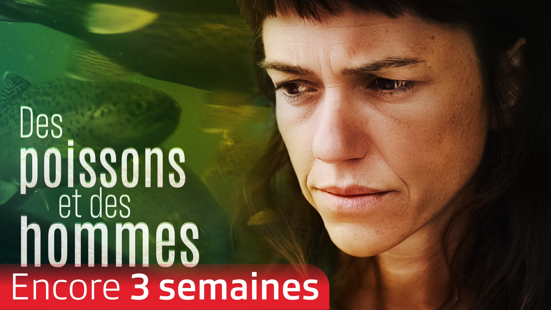 Des poissons et des hommes