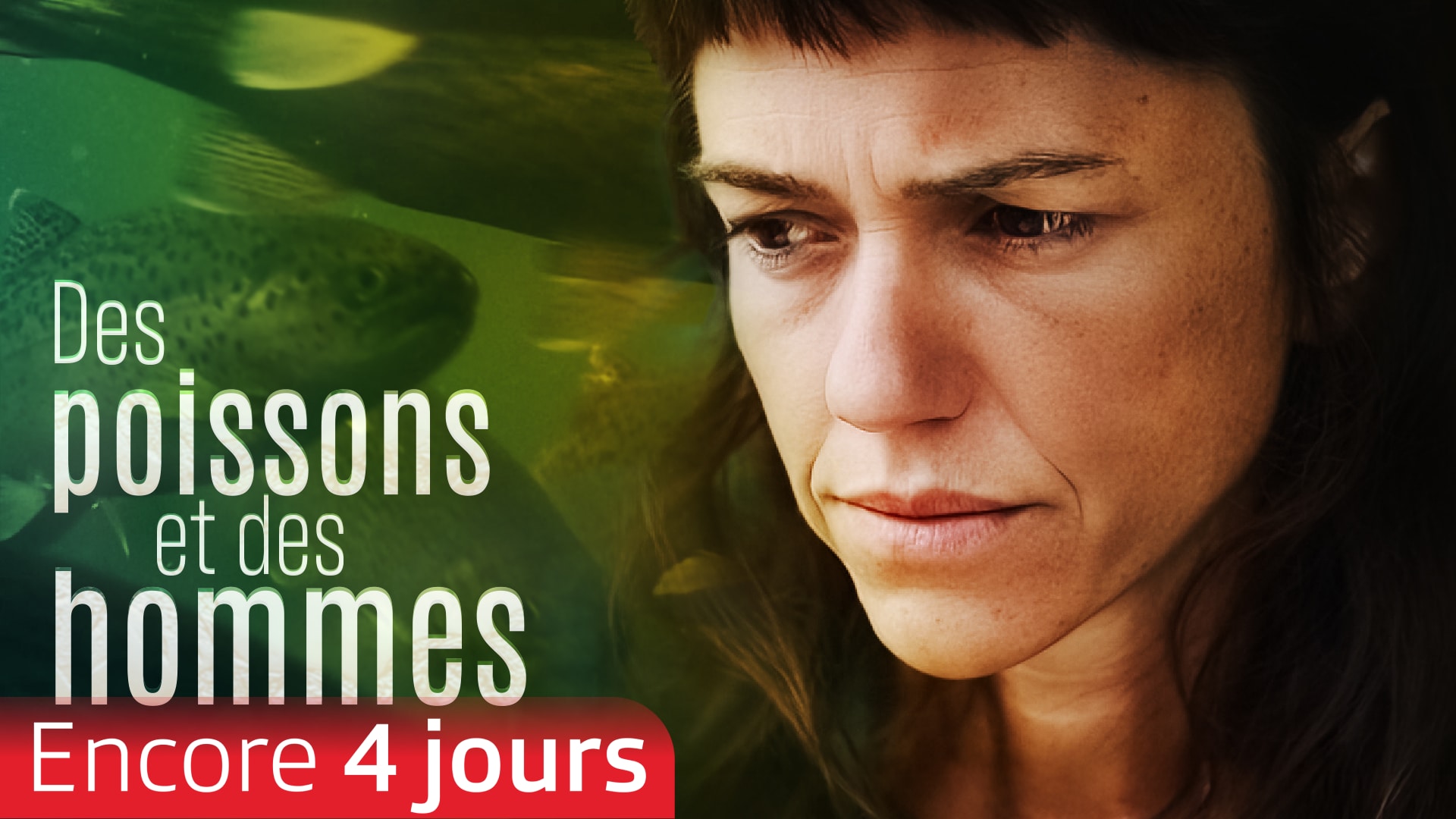 Des poissons et des hommes