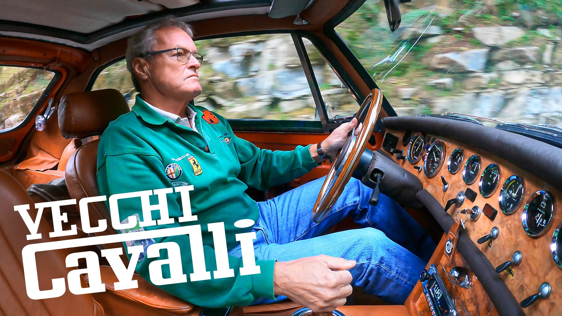 Vecchi cavalli