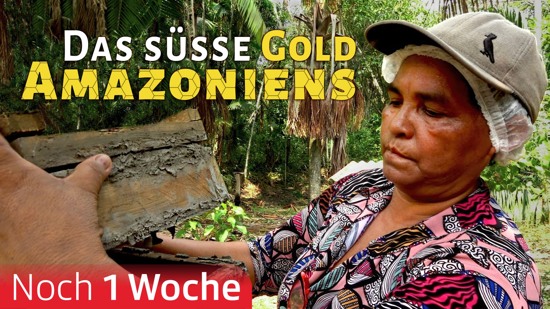 Das süsse Gold Amazoniens