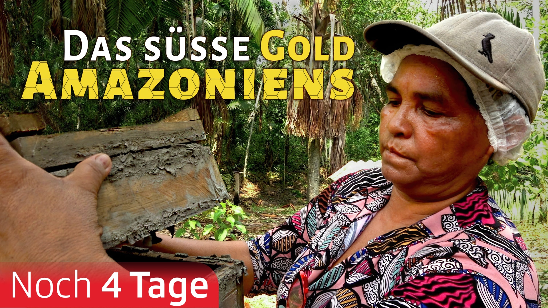 Das süsse Gold Amazoniens
