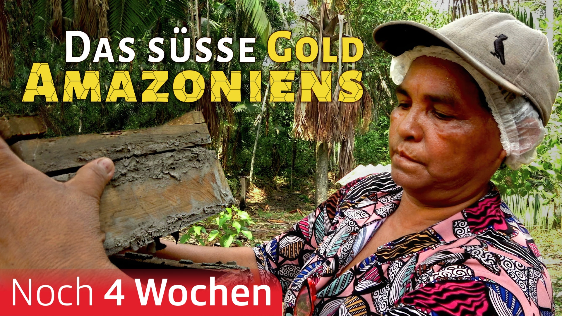 Das süsse Gold Amazoniens