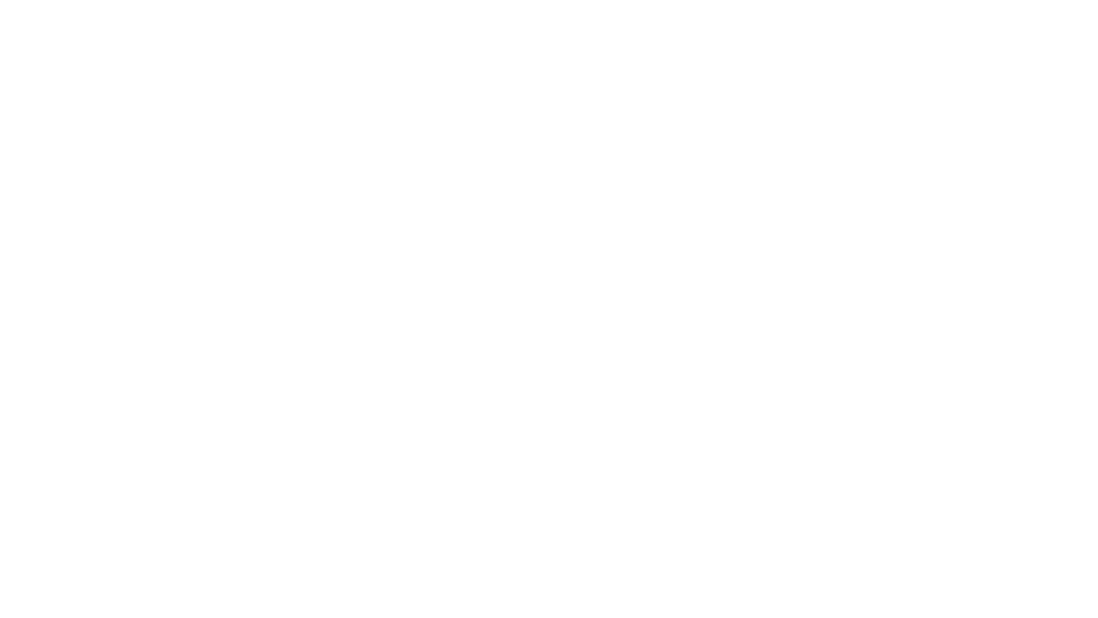 Il cacciatore di balene