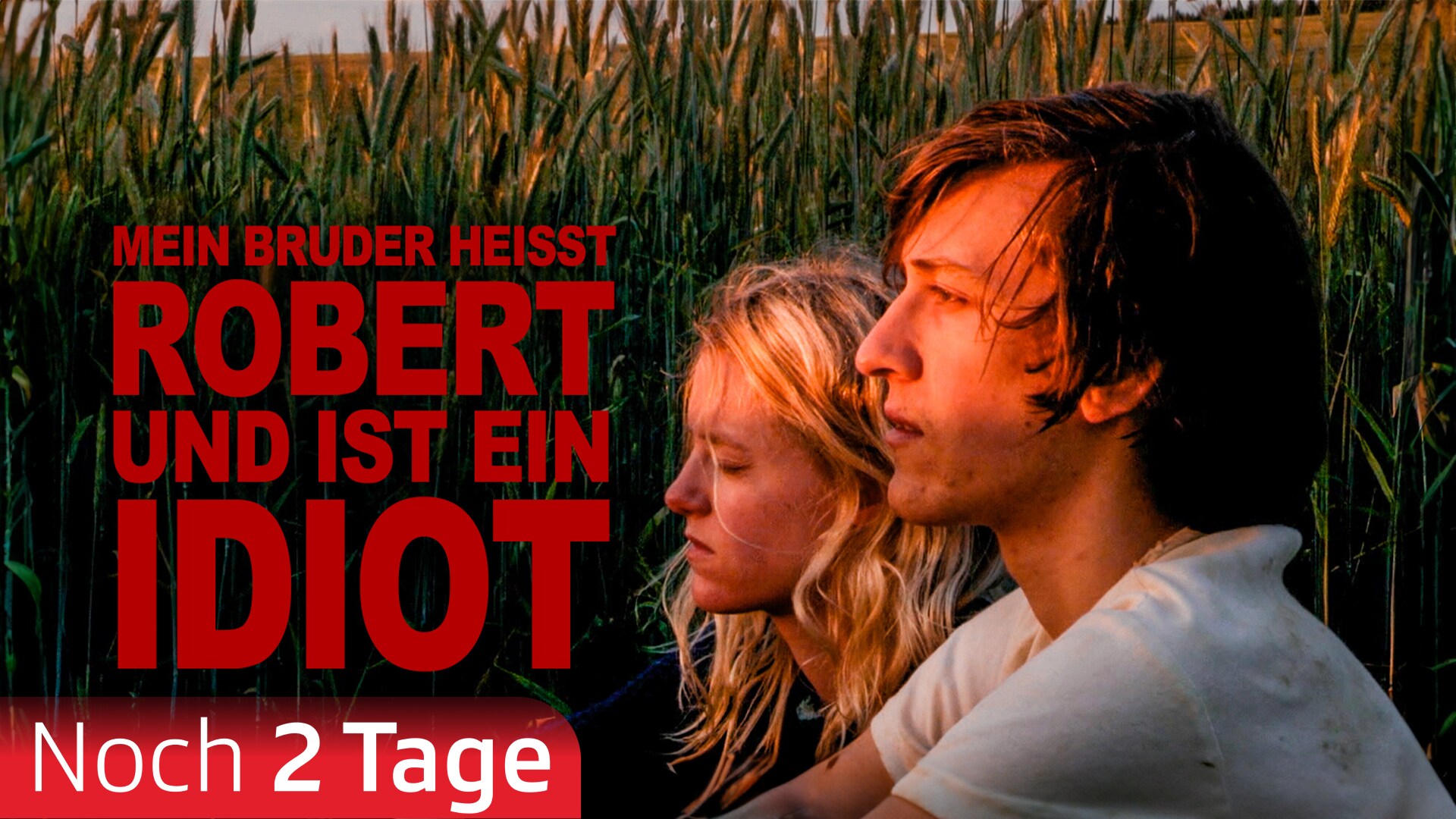 Mein Bruder heisst Robert und ist ein Idiot