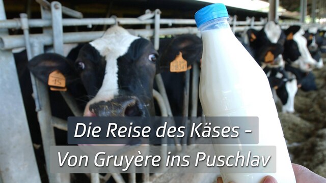 Die Reise des Käses - Von Gruyère ins Puschlav