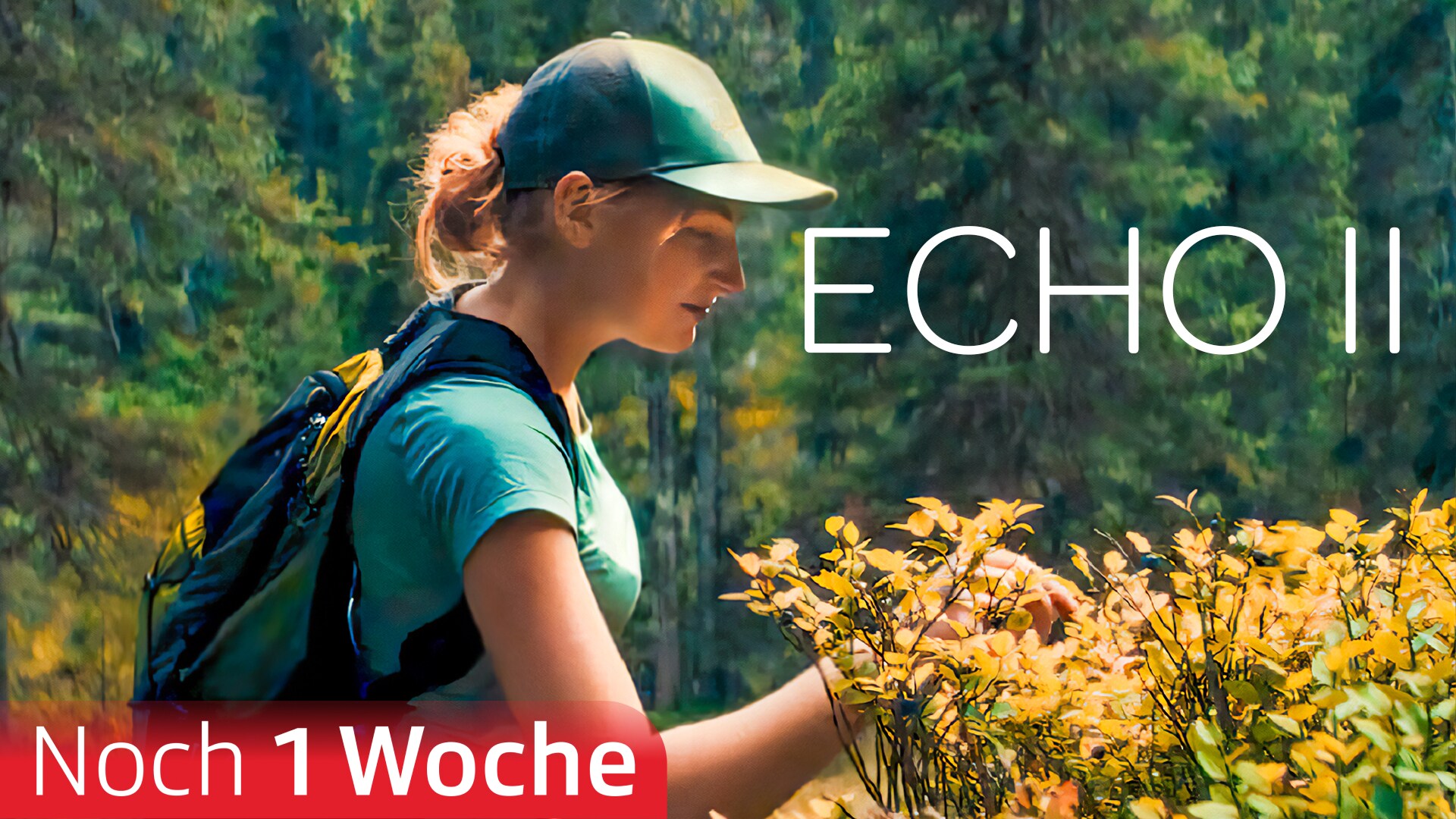Echo II