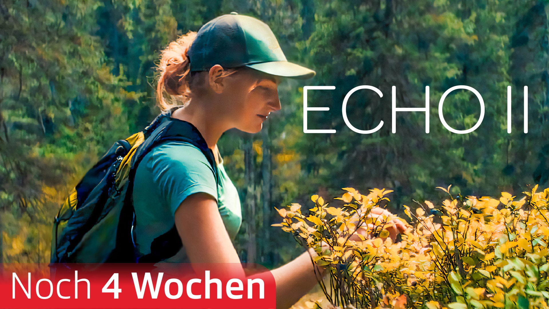 Echo II