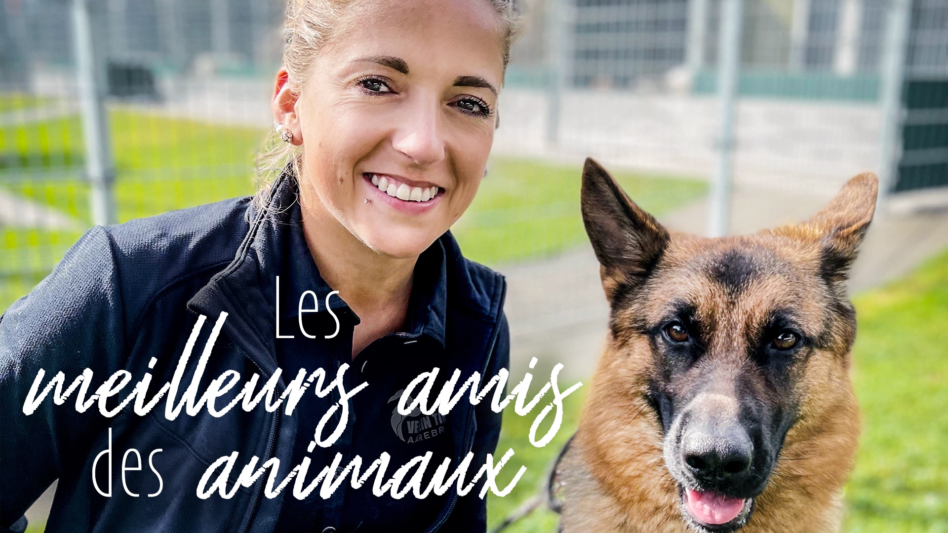 Les meilleurs amis des animaux