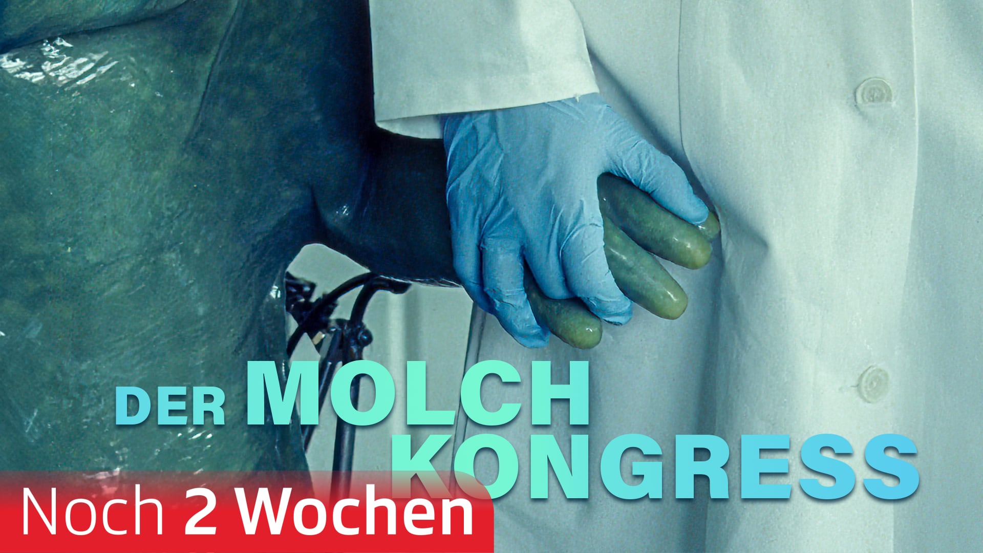 Der Molchkongress