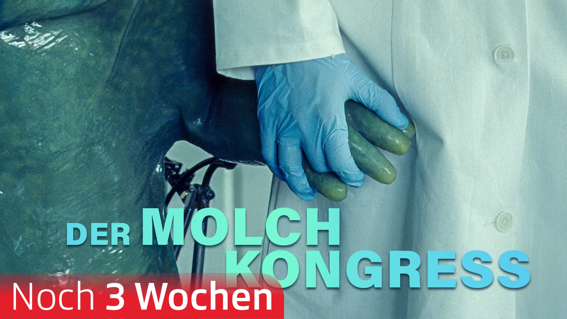 Der Molchkongress