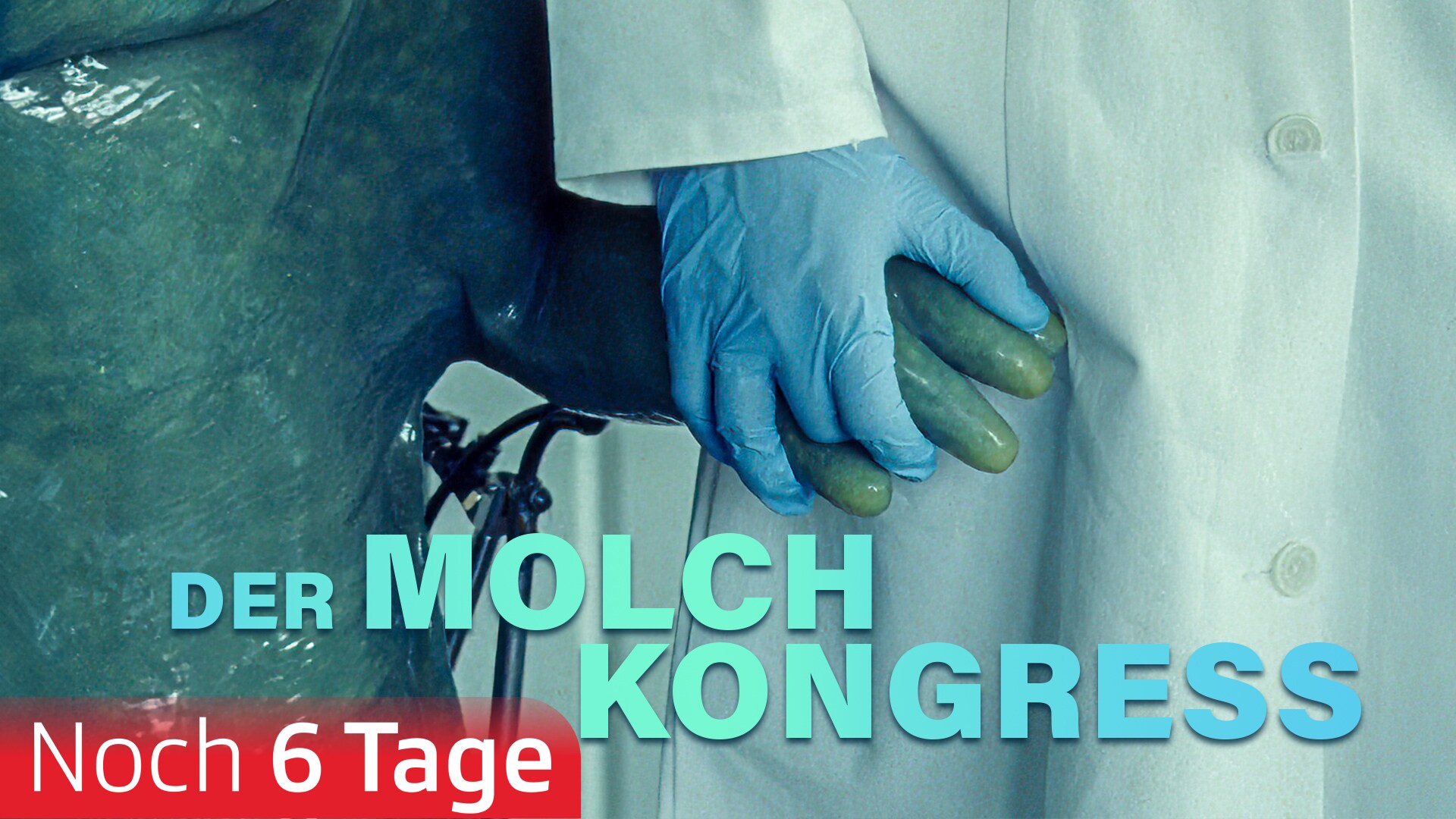 Der Molchkongress