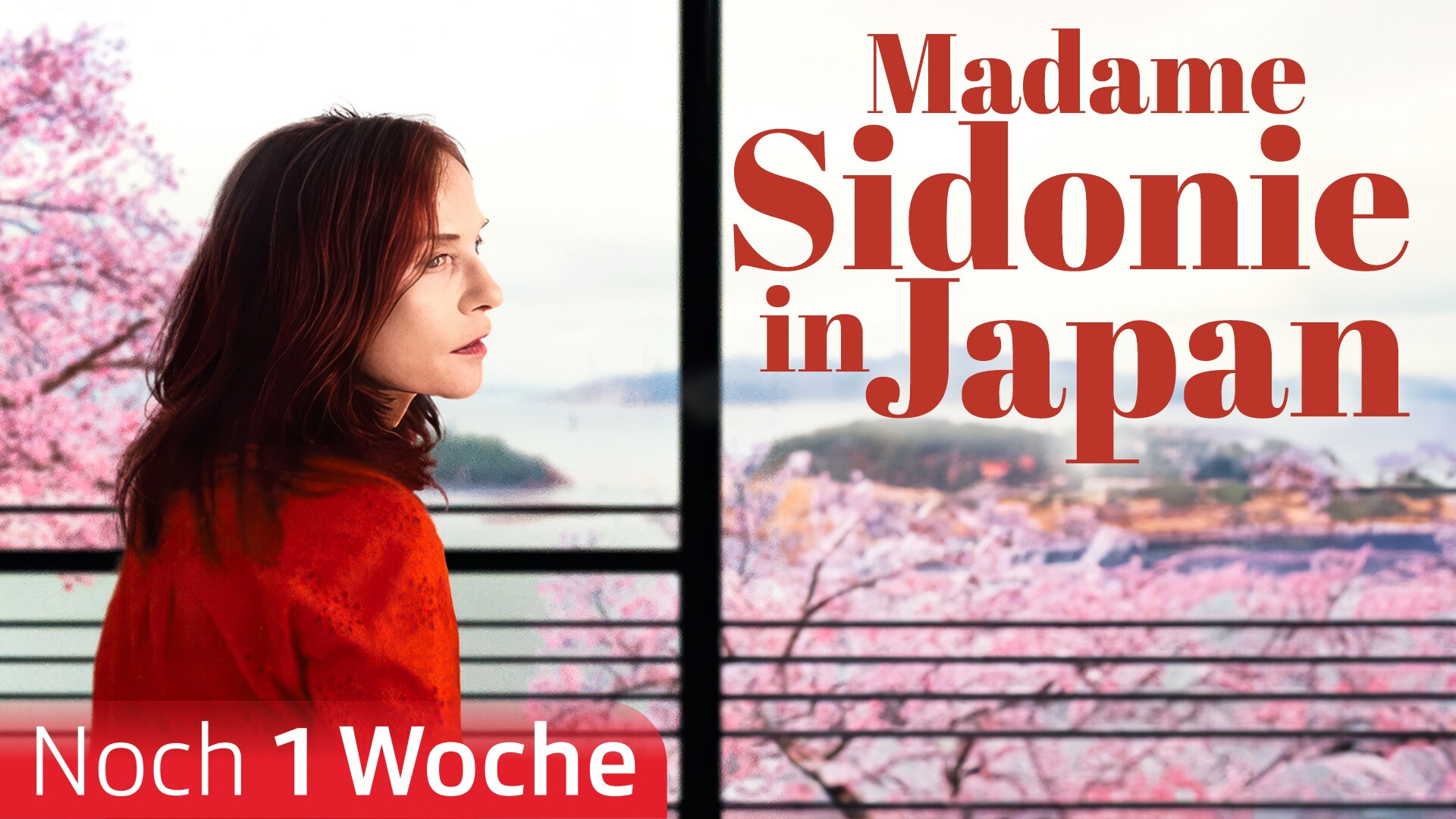 Madame Sidonie in Japan