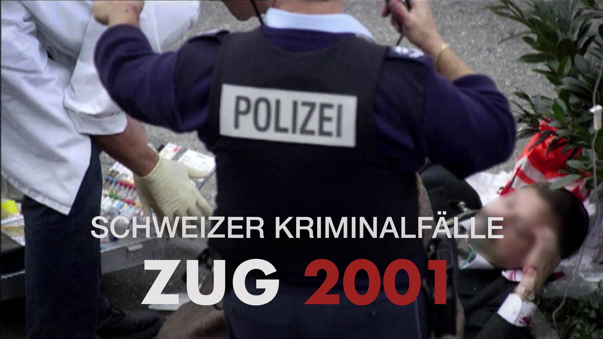 Schweizer Kriminalfälle - Zug 2001