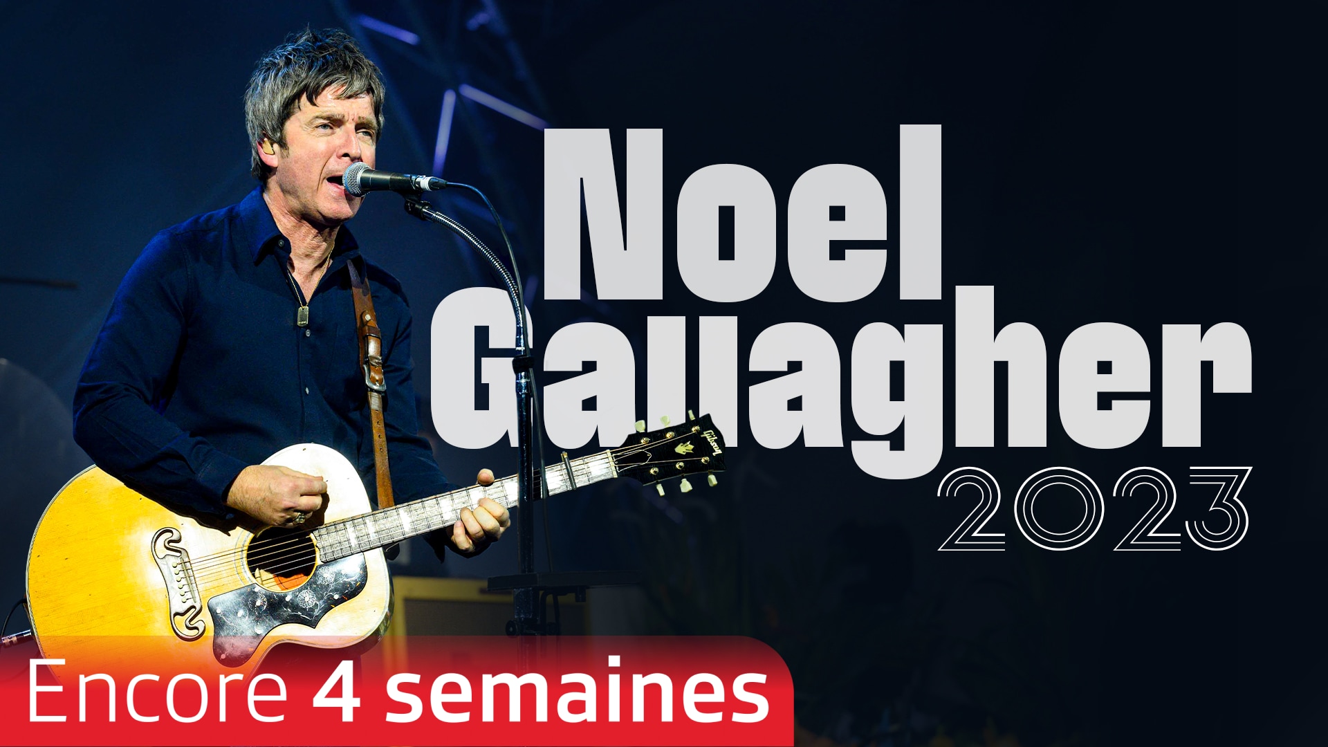 Noel Gallagher