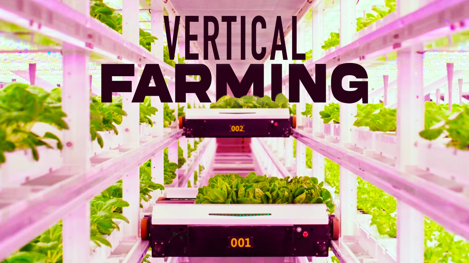 Vertical Farming