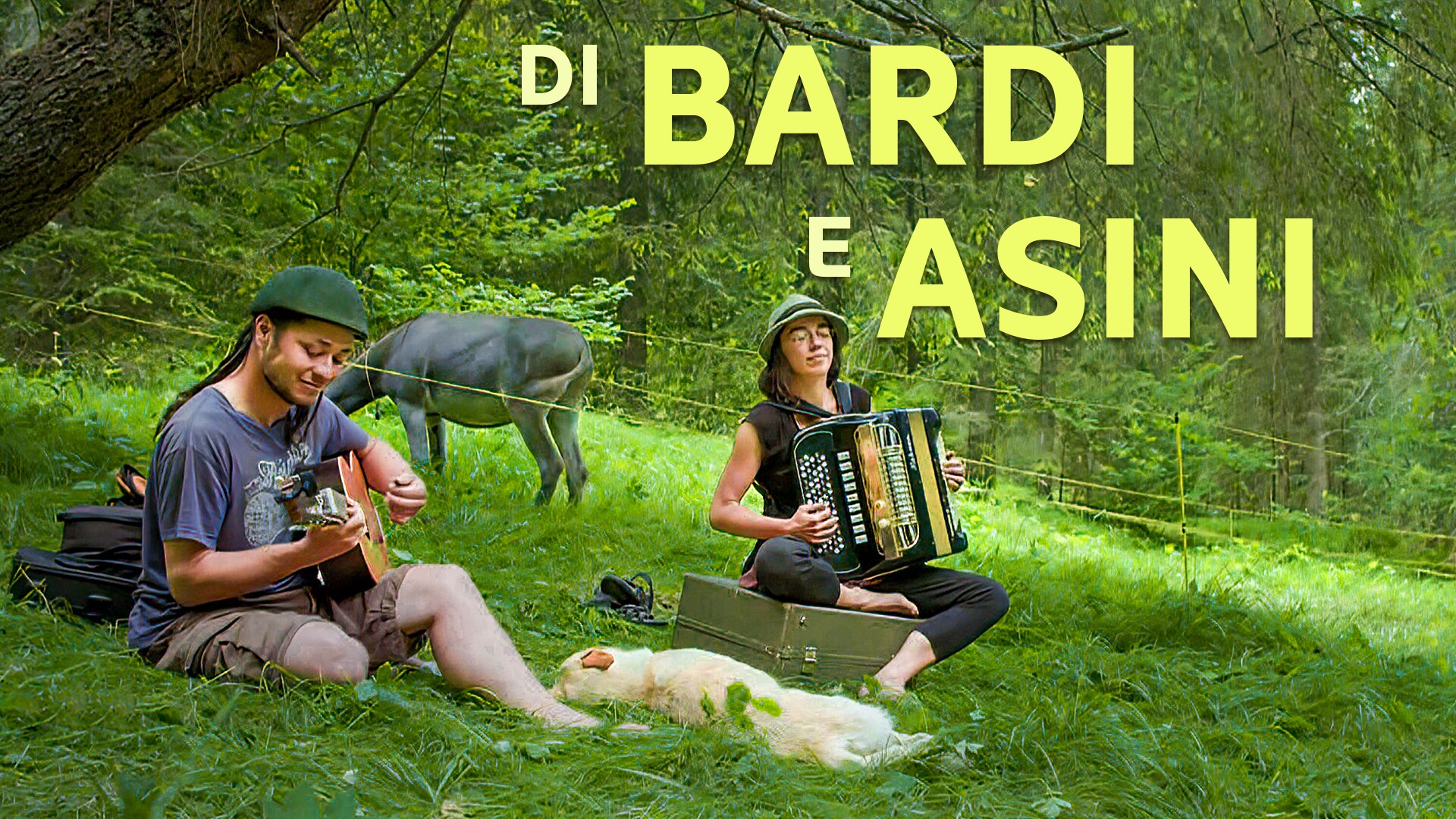 Di bardi e asini