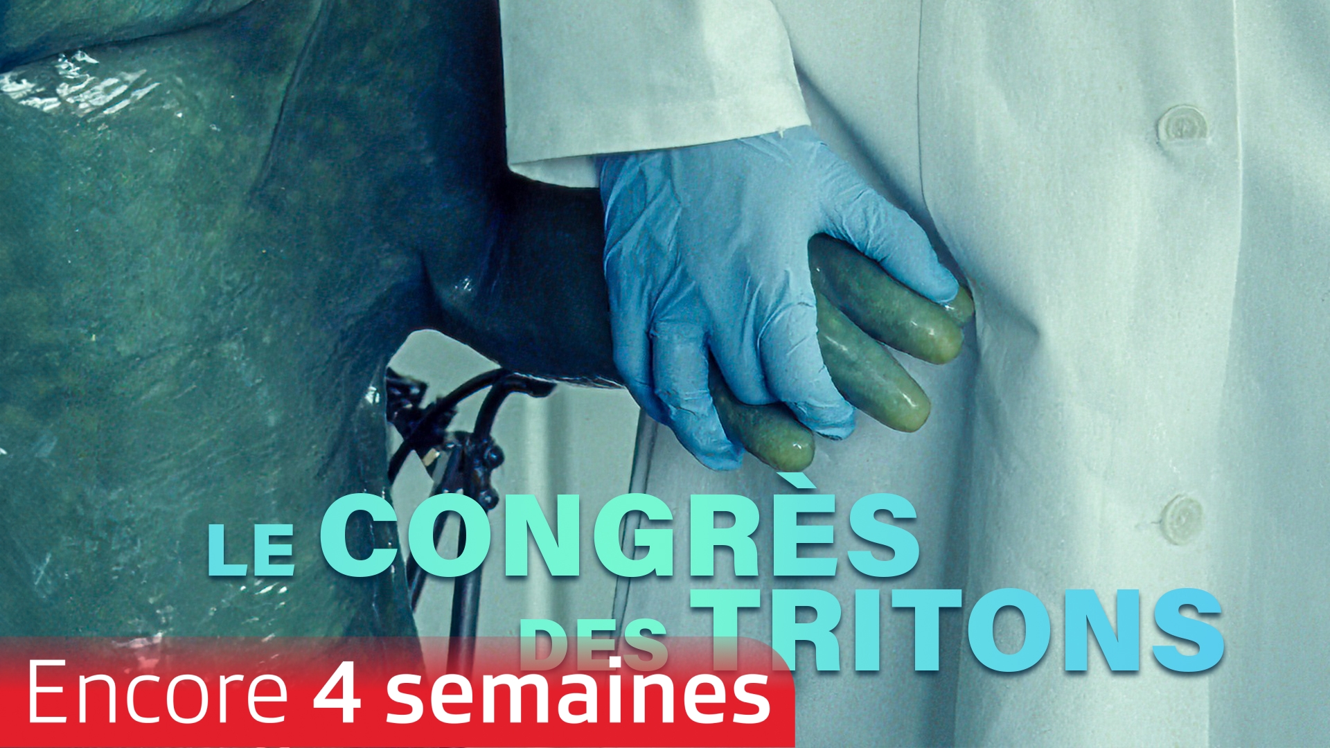 Le congrès des tritons