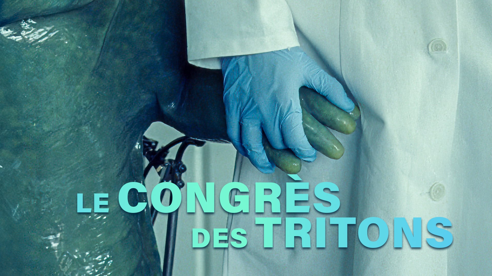 Le congrès des tritons