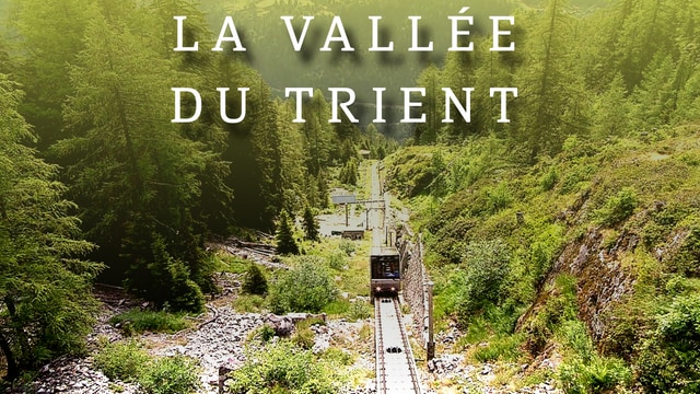 La vallée du Trient
