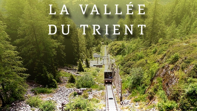 La vallée du Trient