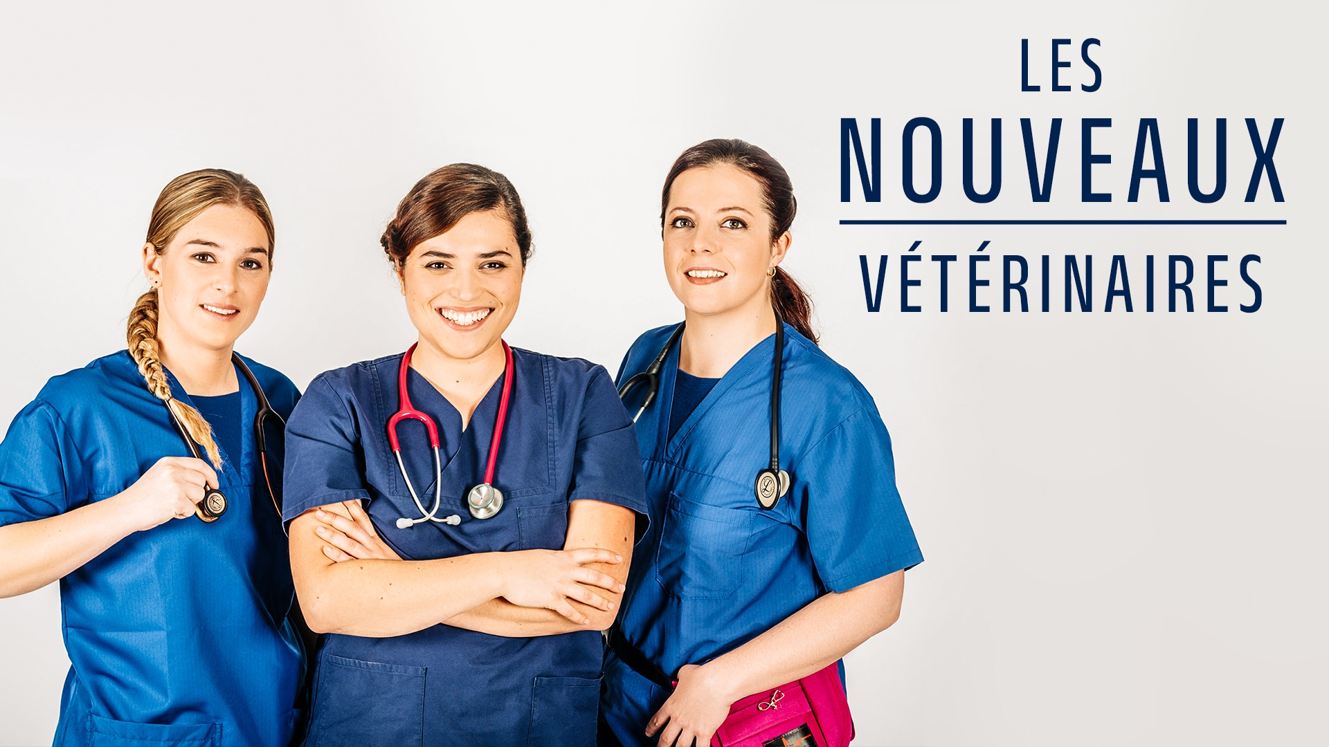 Les nouveaux vétérinaires