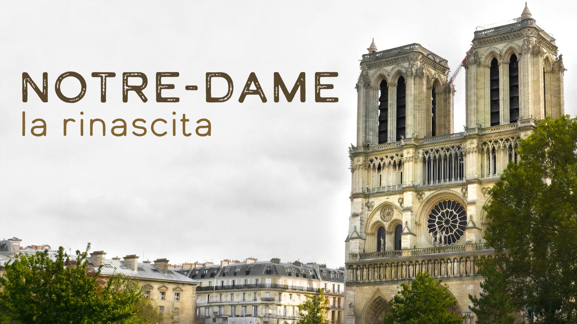 Notre-Dame, la rinascita