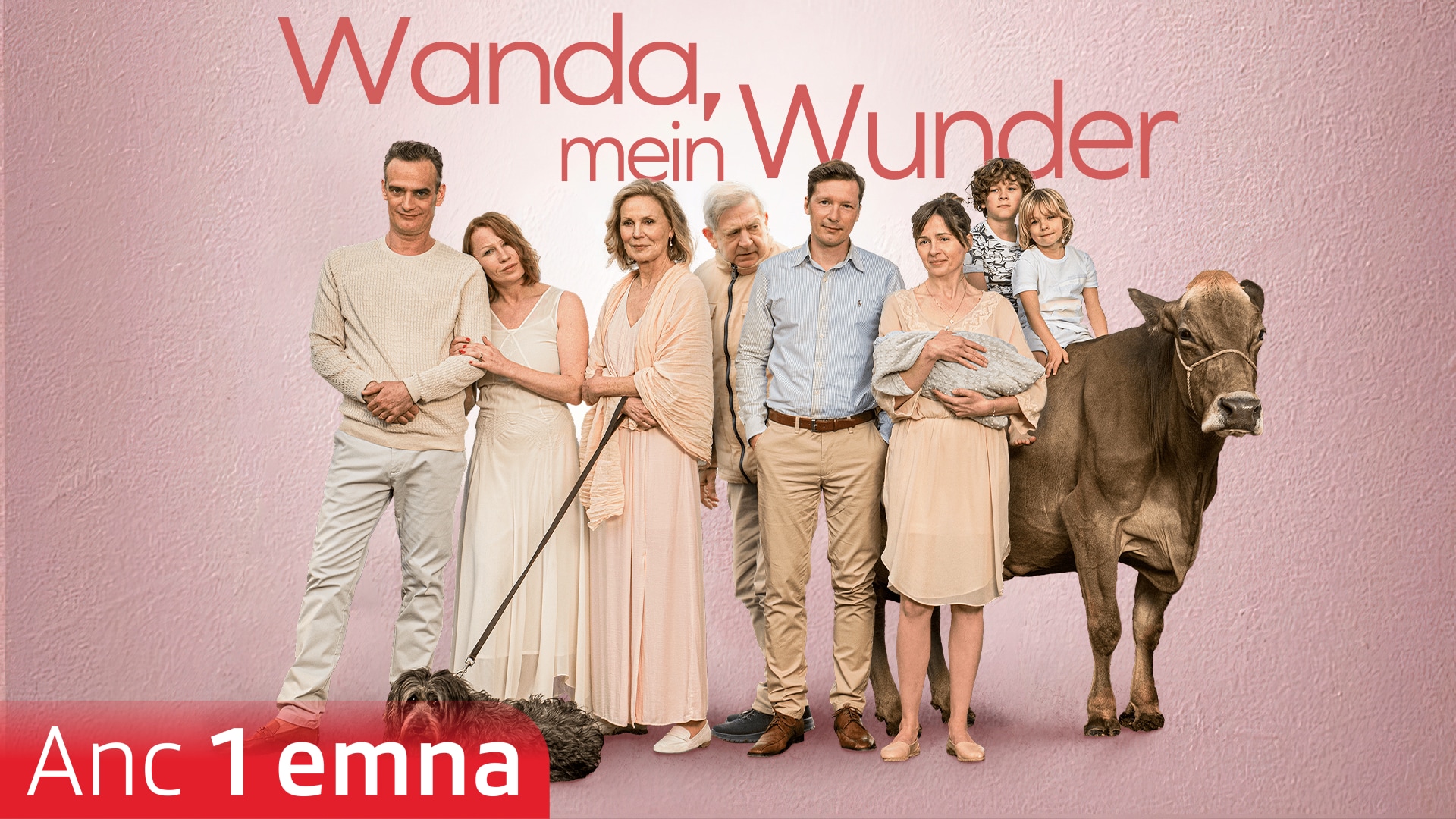 Wanda, mein Wunder
