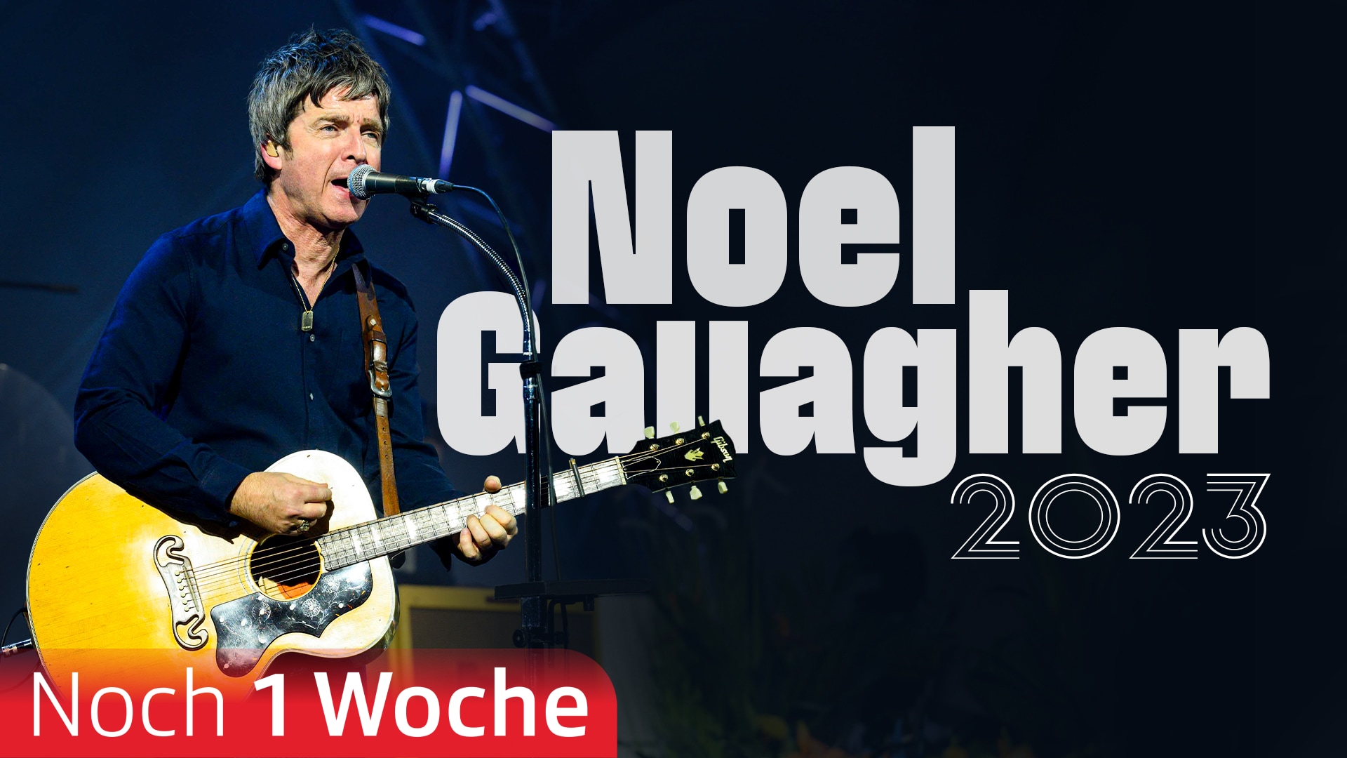 Noel Gallagher