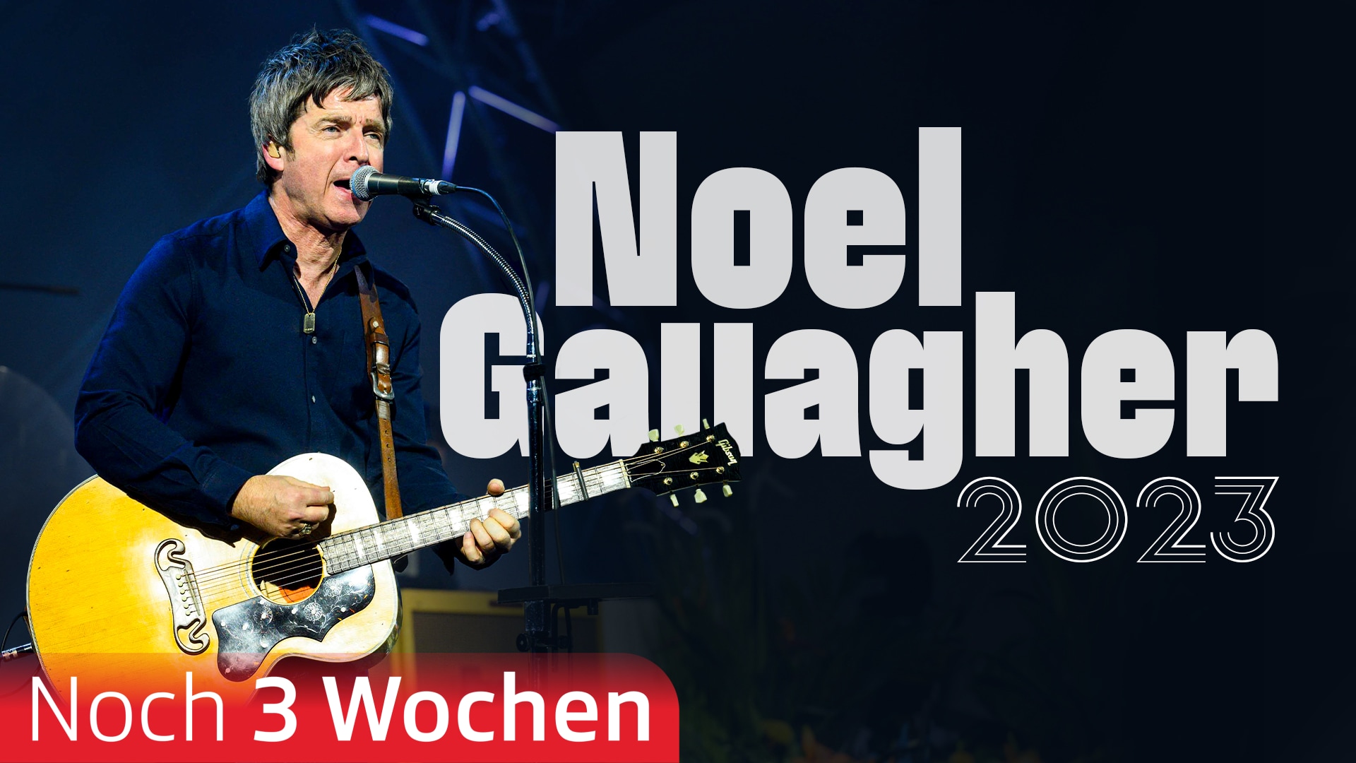 Noel Gallagher