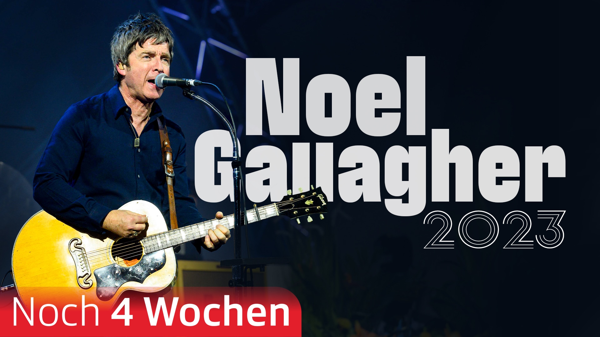 Noel Gallagher