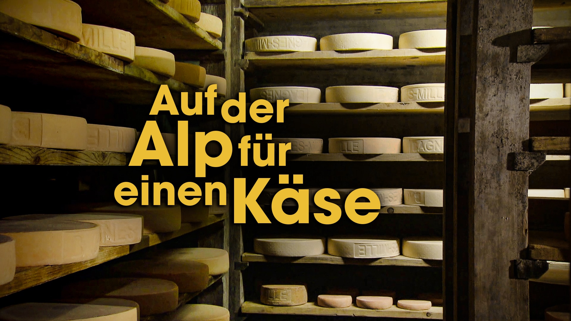 Auf der Alp für einen Käse