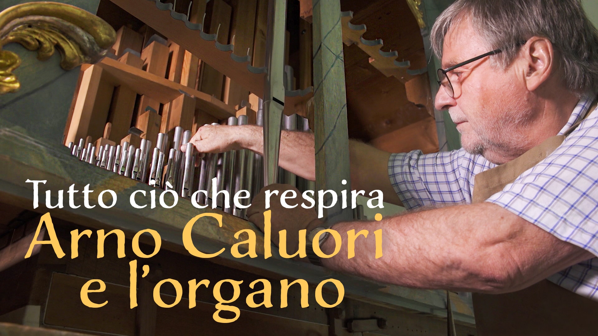 Tutto ciò che respira: Arno Caluori e l’organo