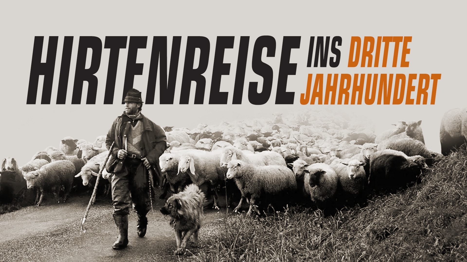 Hirtenreise ins dritte Jahrtausend