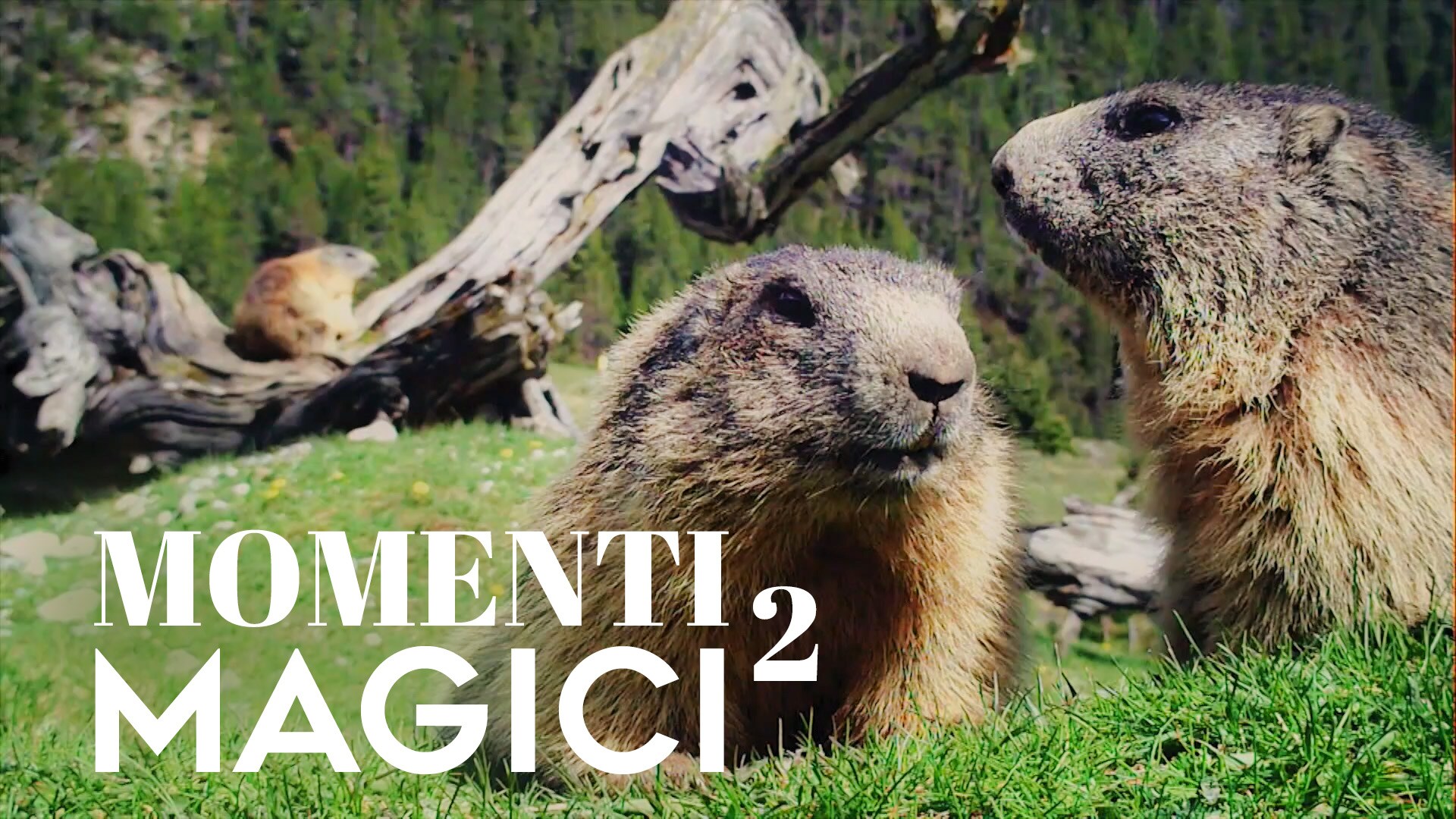 Momenti magici - Seconda parte