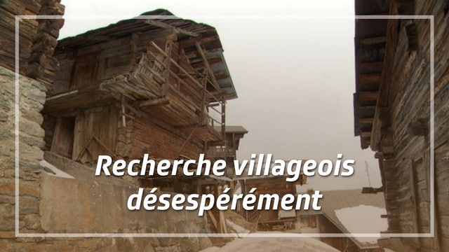 Recherche villageois désespérément