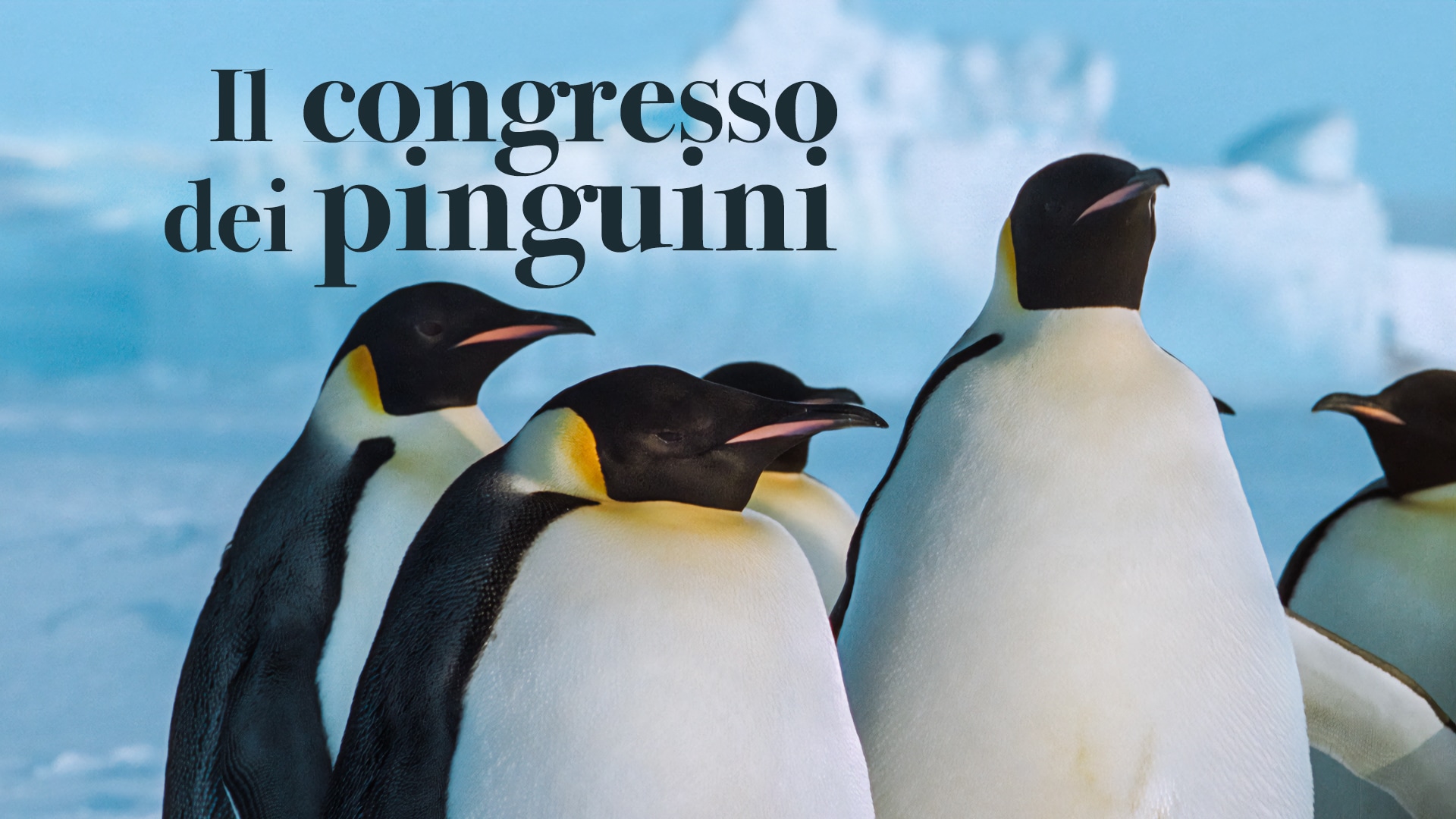 Il congresso dei pinguini