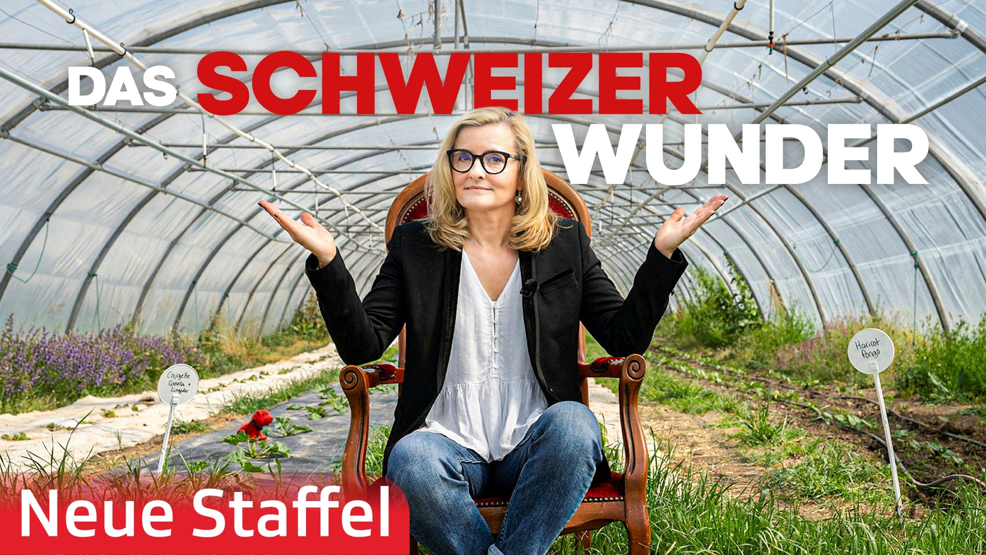 Das Schweizer Wunder