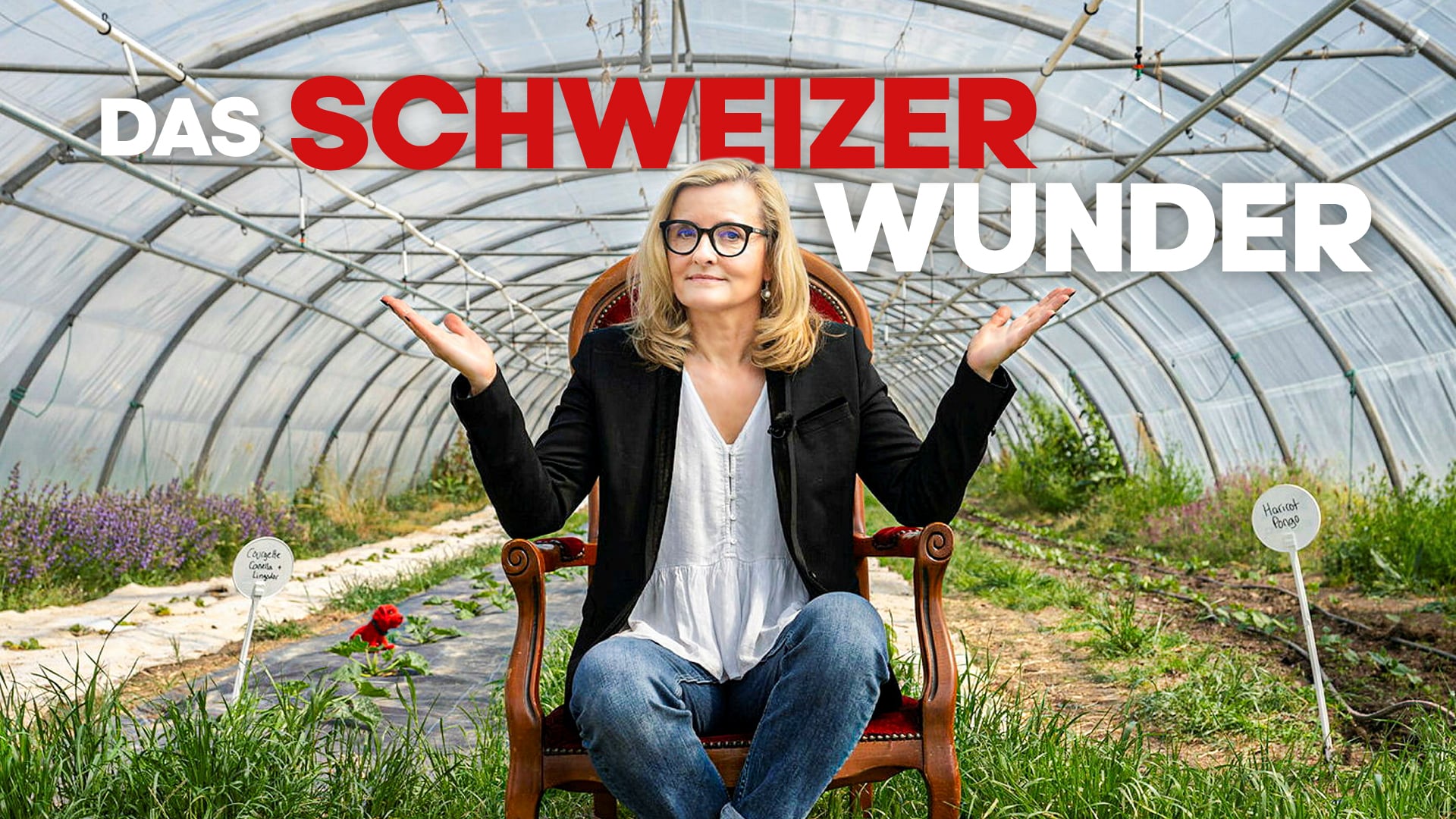 Das Schweizer Wunder