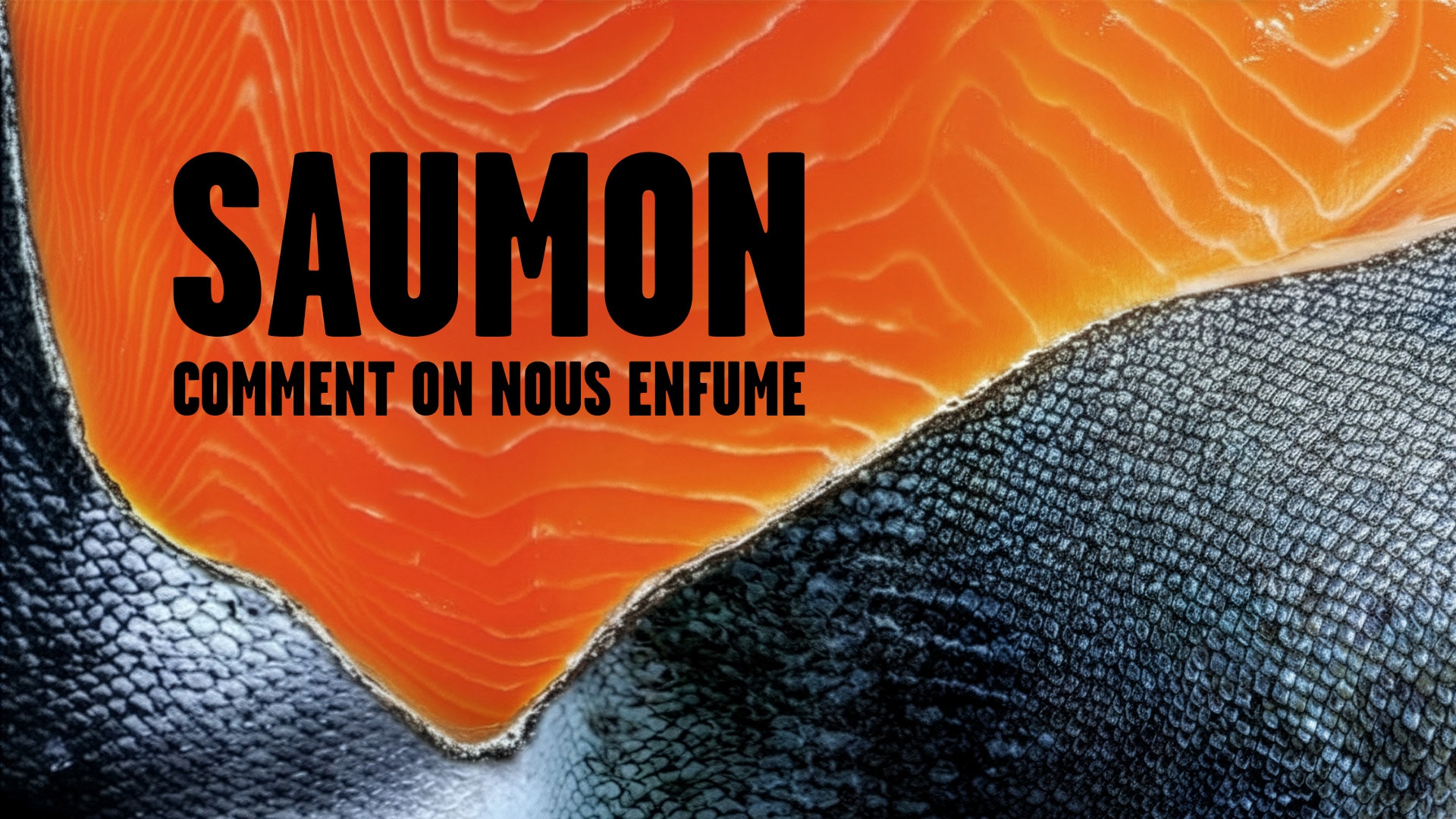 Saumon, comment on nous enfume