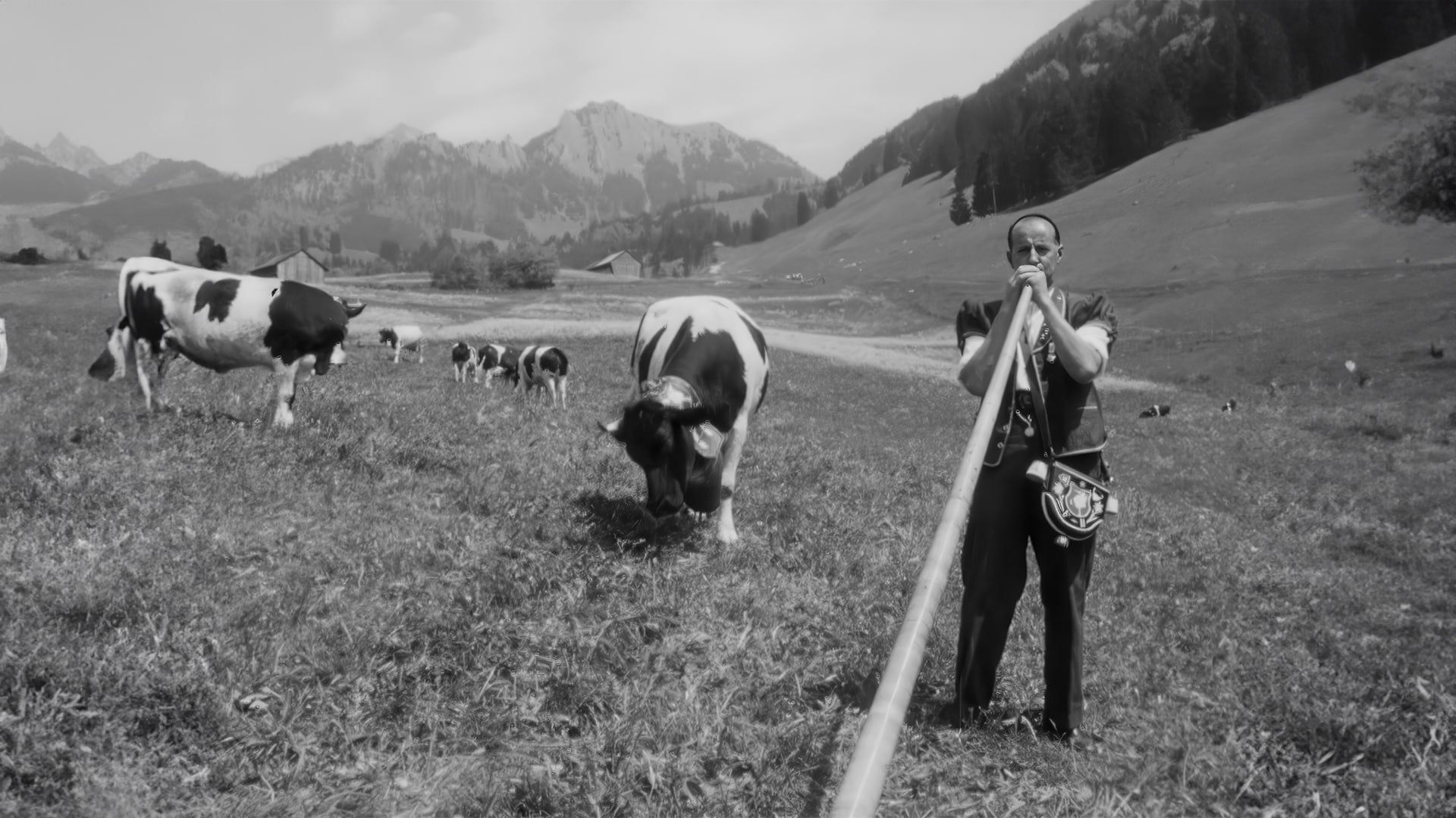 Die Landwirtschaft