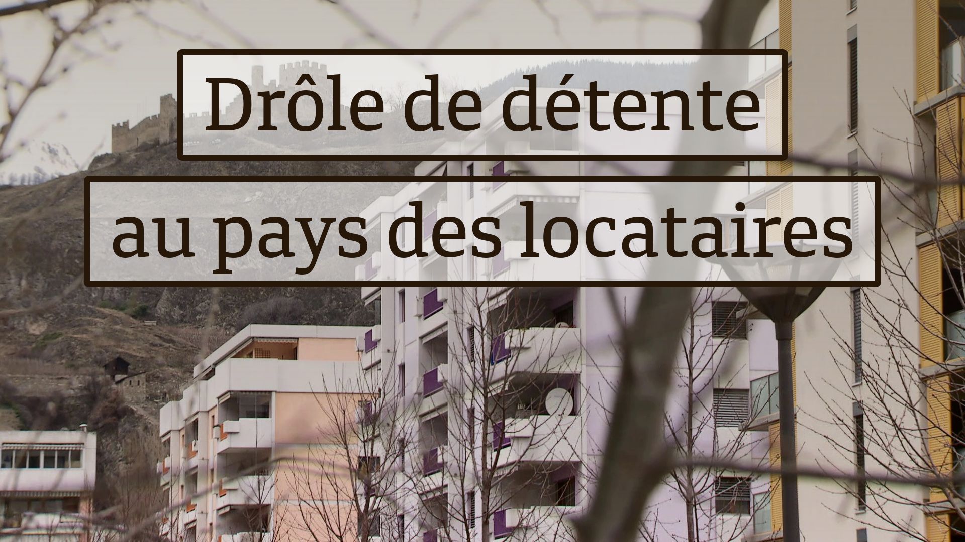 Drôle de détente au pays des locataires