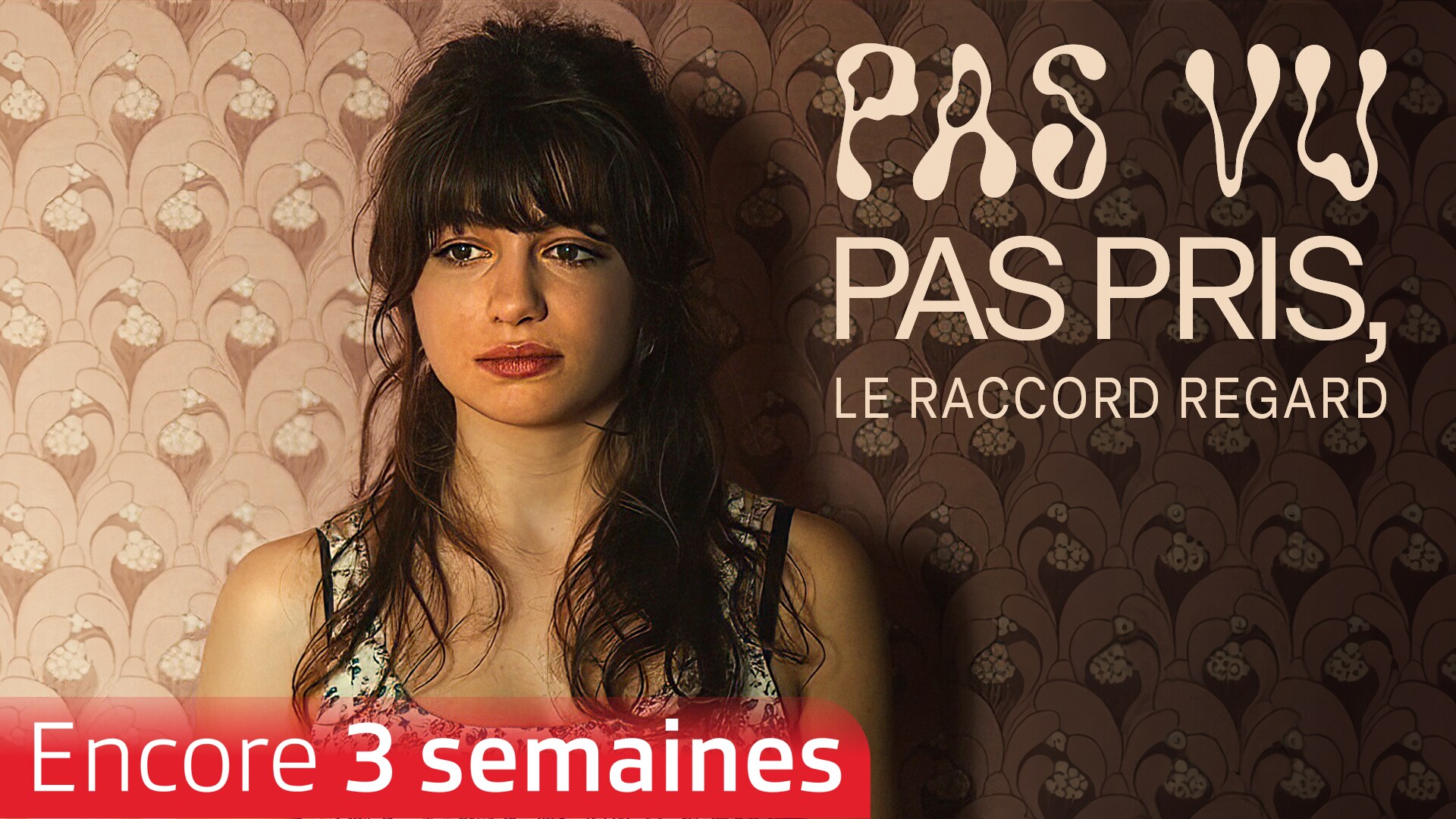 Pas vu pas pris, le raccord regard