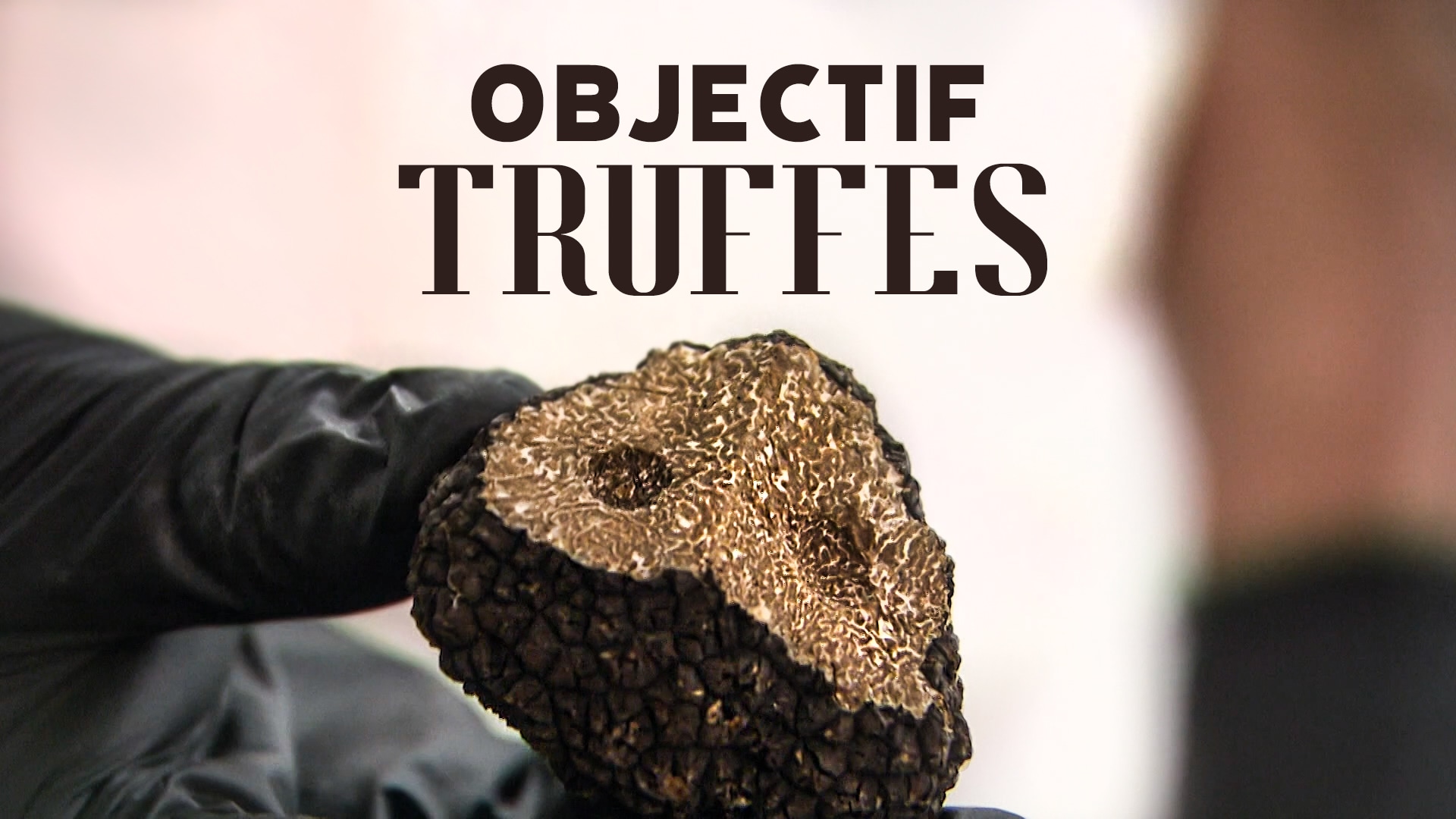 Objectif truffes