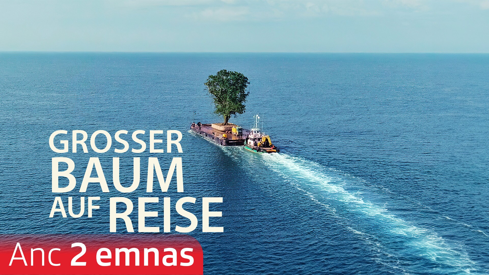 Grosser Baum auf Reise