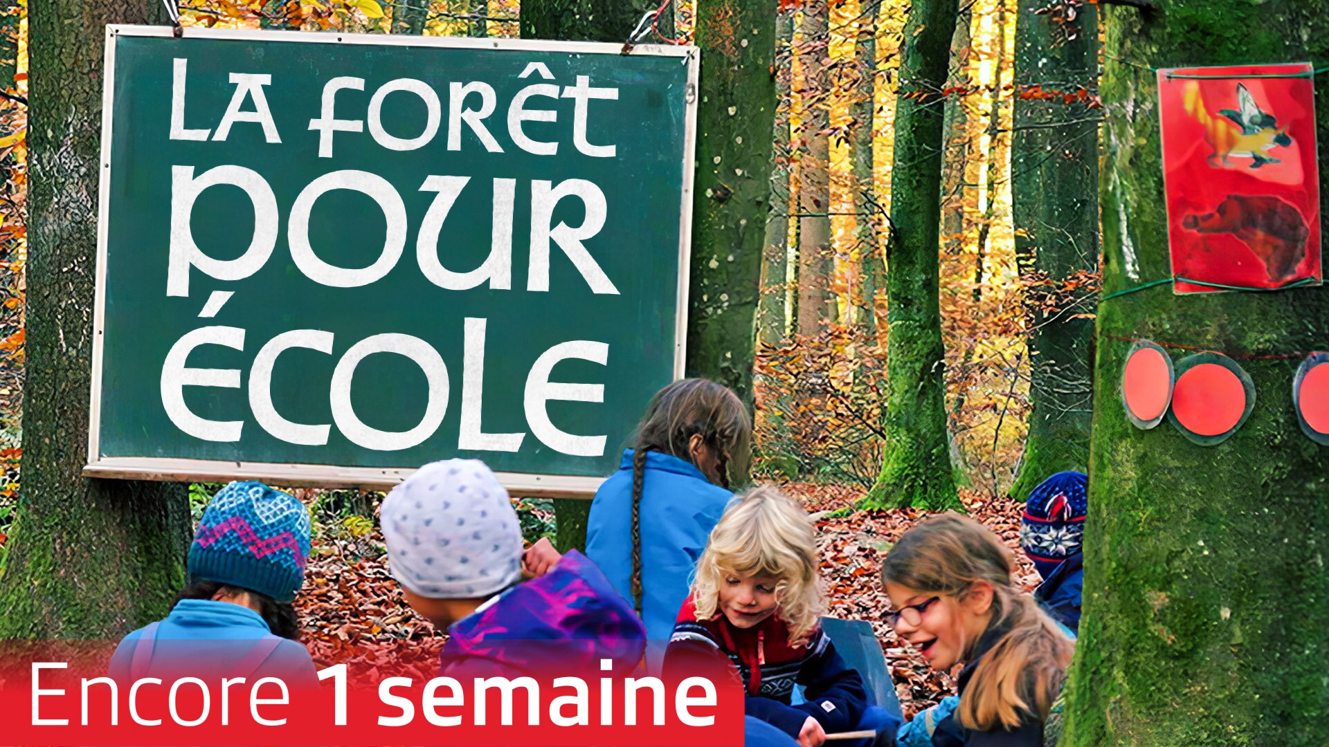 La forêt pour école