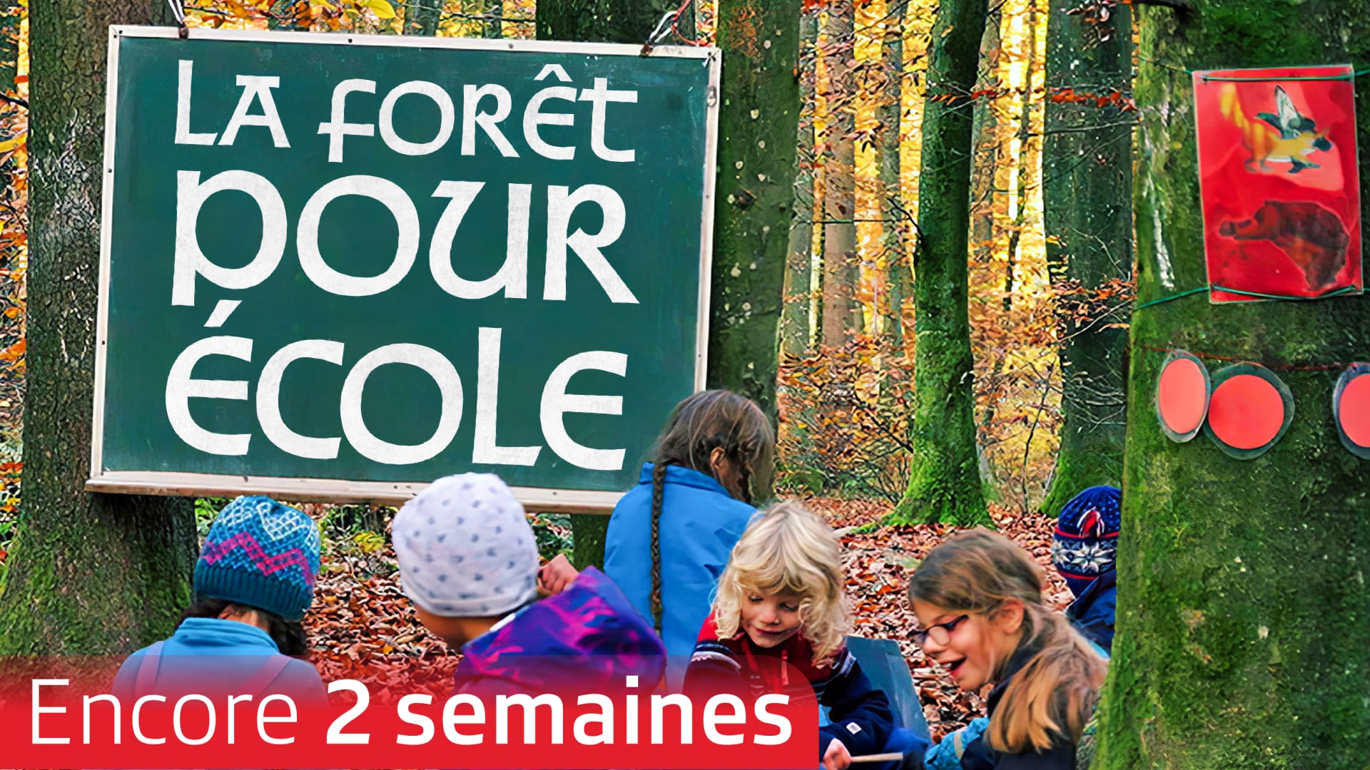 La forêt pour école