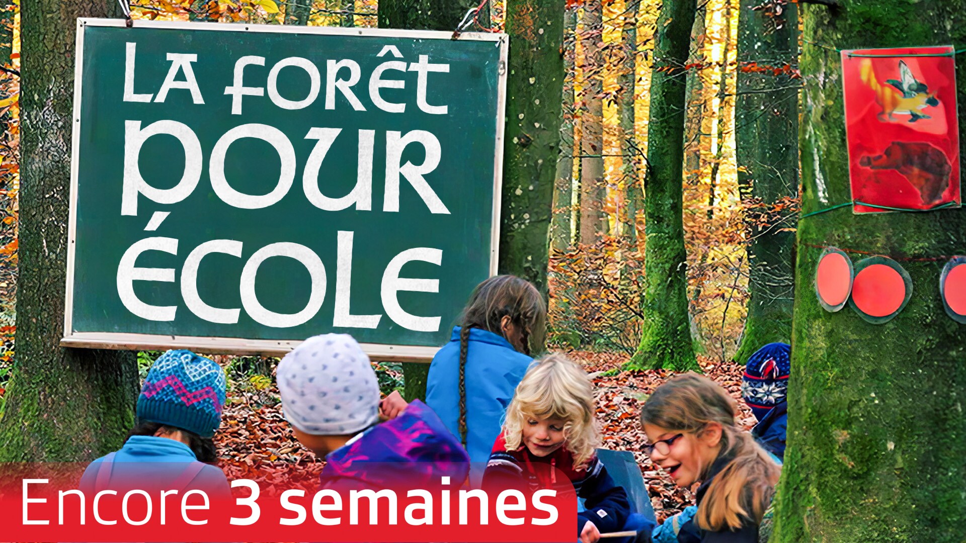 La forêt pour école
