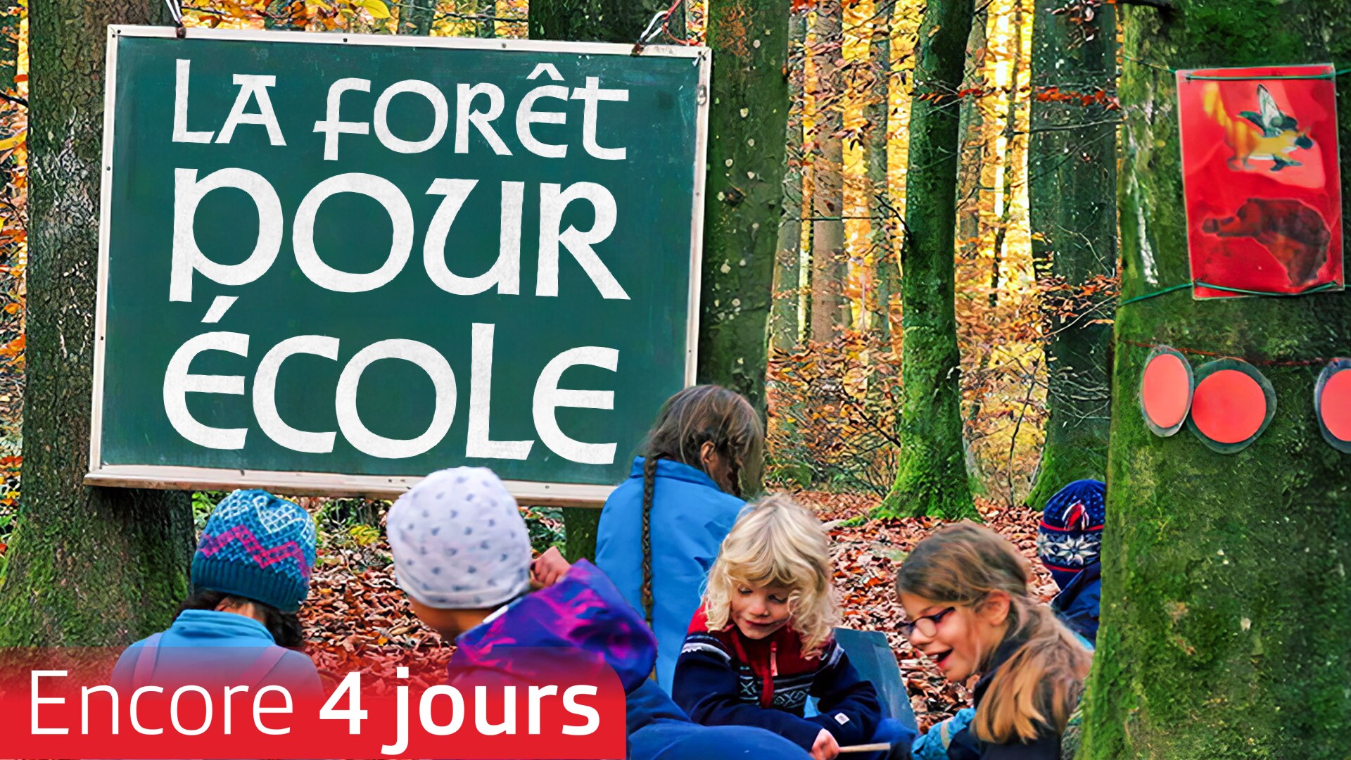 La forêt pour école