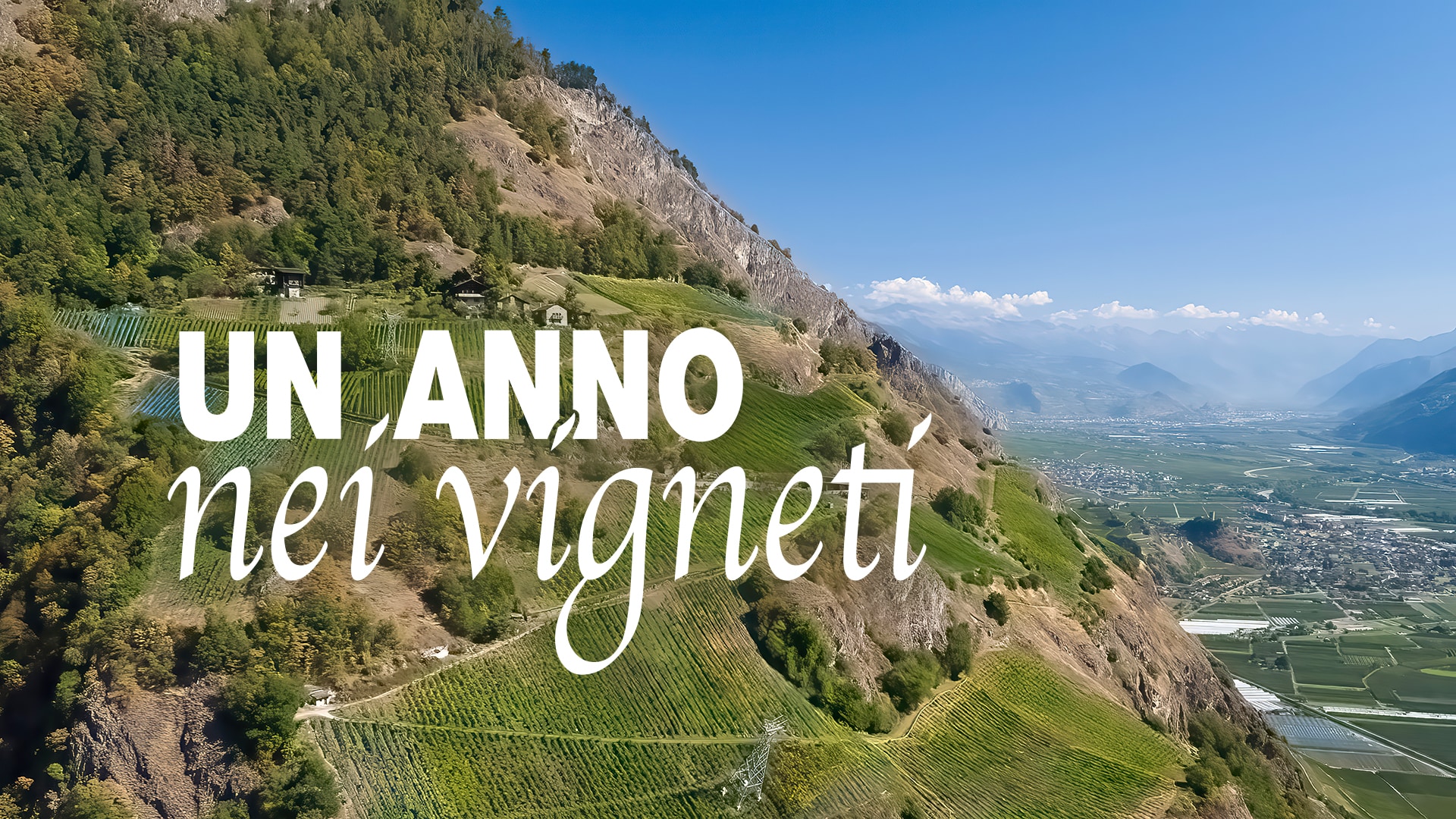 Un anno nei vigneti