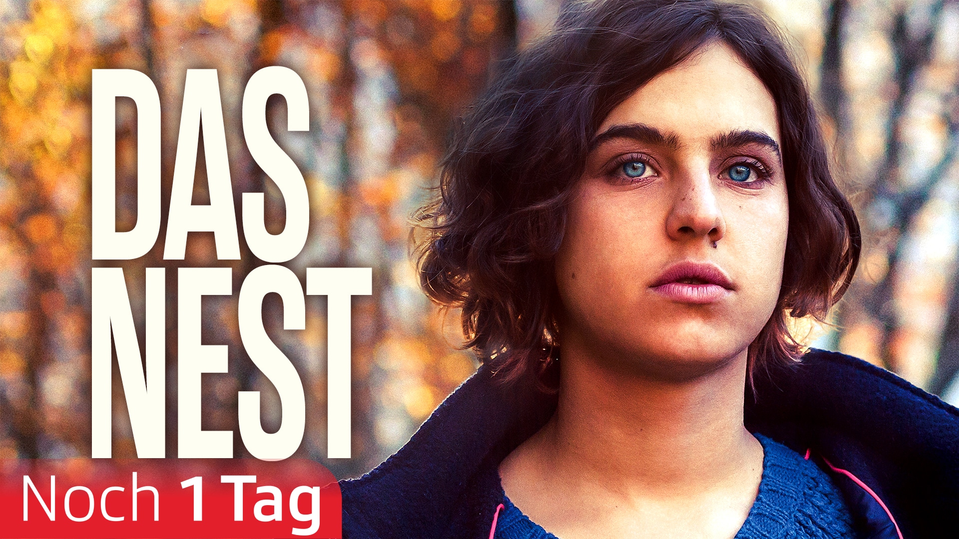 Das Nest